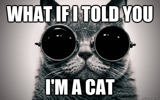 what if i told you i'm a cat - what if i told you i'm a cat  Misc