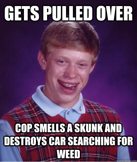 Gets pulled over Cop smells a skunk and destroys car searching for weed  Bad Luck Brian