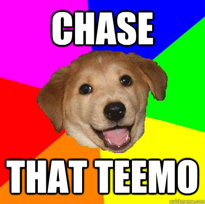 Chase That Teemo  Advice Dog