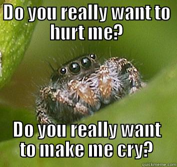 DO YOU REALLY WANT TO HURT ME? DO YOU REALLY WANT TO MAKE ME CRY? Misunderstood Spider