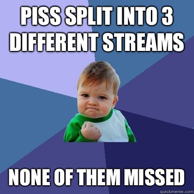 Piss split into 3 different streams  None of them missed   Success Kid