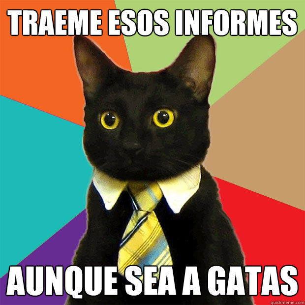 traeme esos informes aunque sea a gatas  Business Cat