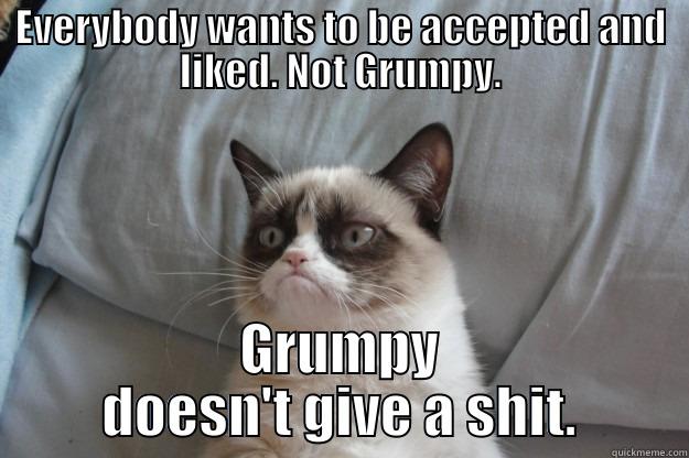 EVERYBODY WANTS TO BE ACCEPTED AND LIKED. NOT GRUMPY. GRUMPY DOESN'T GIVE A SHIT. Grumpy Cat