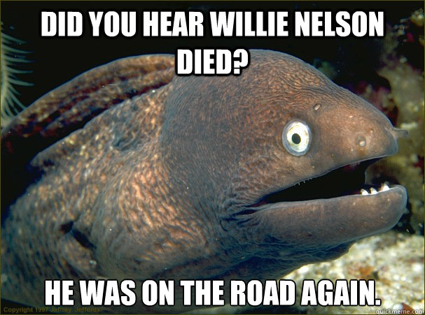 Did you hear Willie Nelson died? He was on the road again. - Did you hear Willie Nelson died? He was on the road again.  Bad Joke Eel