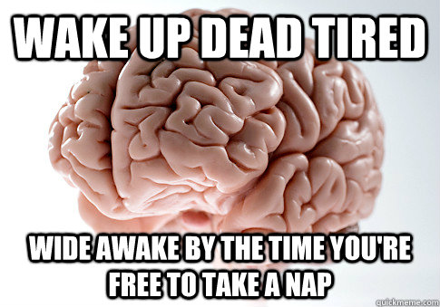 WAKE UP DEAD TIRED WIDE AWAKE BY THE TIME YOU'RE FREE TO TAKE A NAP - WAKE UP DEAD TIRED WIDE AWAKE BY THE TIME YOU'RE FREE TO TAKE A NAP  Scumbag Brain