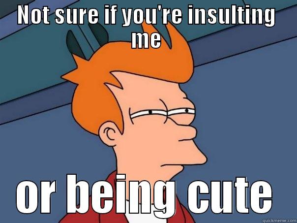 NOT SURE IF YOU'RE INSULTING ME OR BEING CUTE Futurama Fry