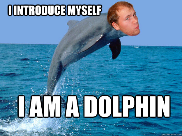 I introduce myself I am a dolphin - I introduce myself I am a dolphin  Misc