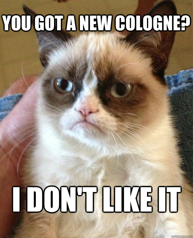 you got a new cologne? i don't like it  Grumpy Cat