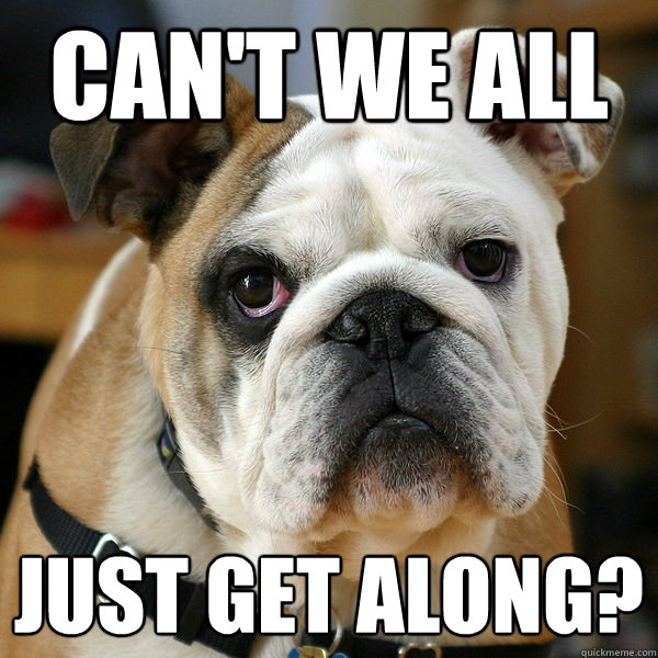 CAN'T WE ALL JUST GET ALONG? - CAN'T WE ALL JUST GET ALONG?  Unhappy Bulldog