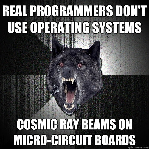 Real Programmers Don't Use Operating Systems Cosmic ray beams on micro-circuit boards  Insanity Wolf