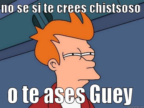 NO SE SI TE CREES CHISTSOSO  O TE ASES GUEY Futurama Fry