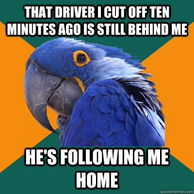 That driver I cut off ten minutes ago is still behind me he's following me home - That driver I cut off ten minutes ago is still behind me he's following me home  Paranoid Parrot