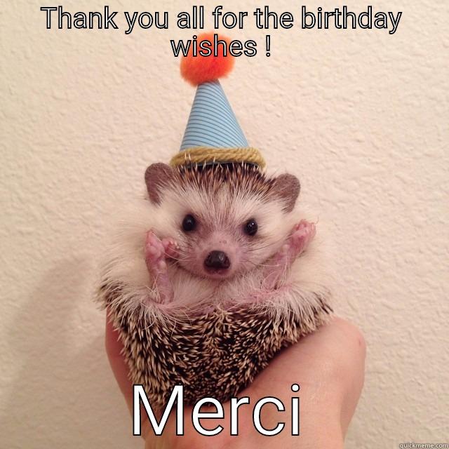 Hedgehog says thank you - THANK YOU ALL FOR THE BIRTHDAY WISHES ! MERCI Misc