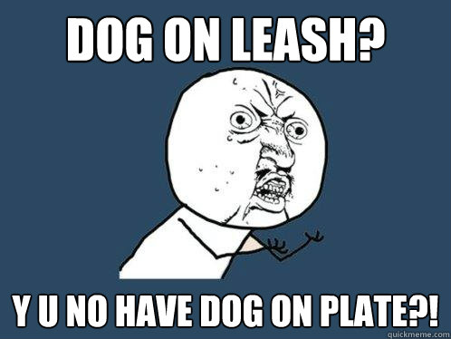 dog on leash? y u no have dog on plate?!  Y U No