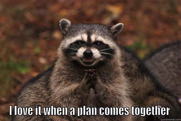 World domination -  I LOVE IT WHEN A PLAN COMES TOGETHER Evil Plotting Raccoon