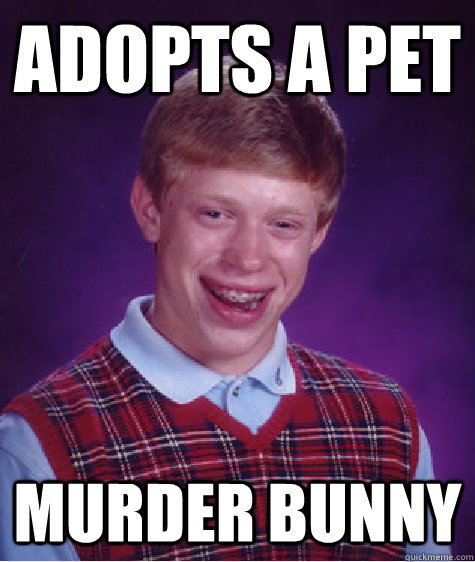 adopts a pet murder bunny - adopts a pet murder bunny  Bad Luck Brian