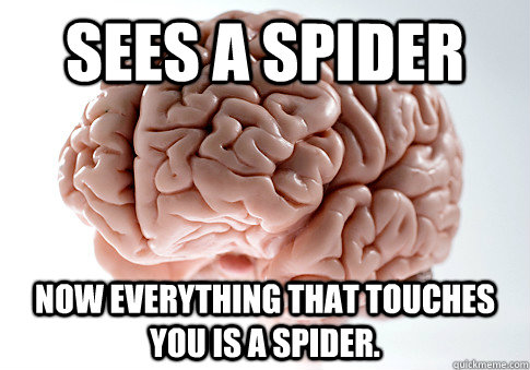 Sees a spider now everything that touches you is a spider. - Sees a spider now everything that touches you is a spider.  Scumbag Brain