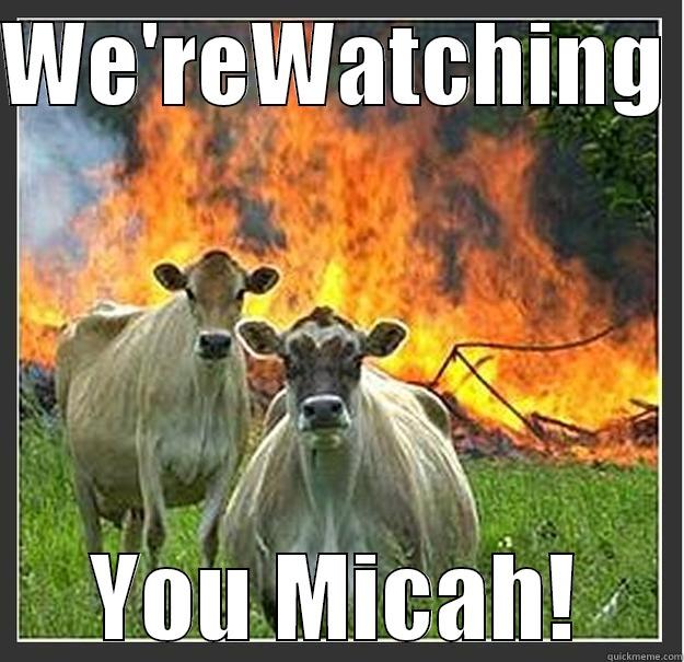 Angry Cows - WE'REWATCHING  YOU MICAH! Evil cows