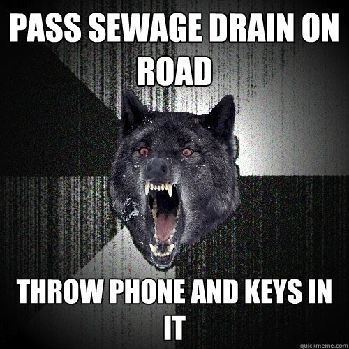 Pass Sewage drain on road throw phone and keys in it - Pass Sewage drain on road throw phone and keys in it  Insanity Wolf