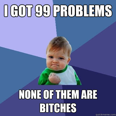 I got 99 Problems None of them are bitches  Success Kid