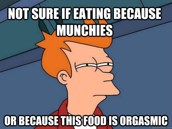 not sure if eating because munchies or because this food is orgasmic - not sure if eating because munchies or because this food is orgasmic  Futurama Fry