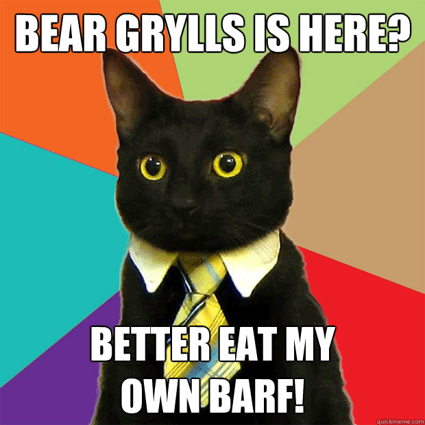 Bear Grylls is here? Better eat my
own barf!  Business Cat