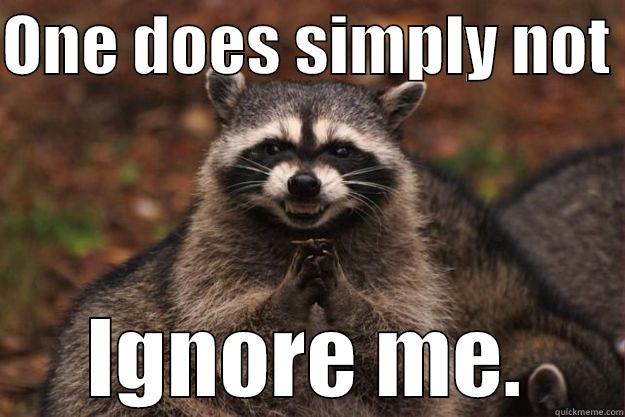 Ignore me? - ONE DOES SIMPLY NOT  IGNORE ME. Evil Plotting Raccoon