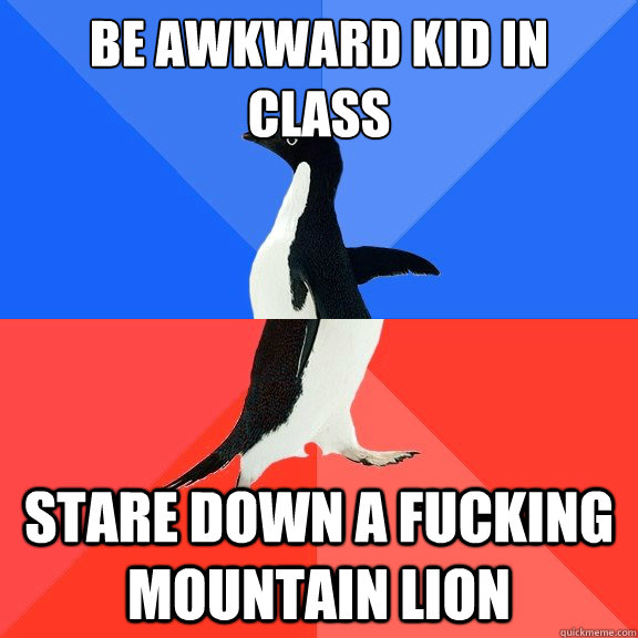 be awkward kid in class stare down a fucking mountain lion - be awkward kid in class stare down a fucking mountain lion  Socially Awkward Awesome Penguin