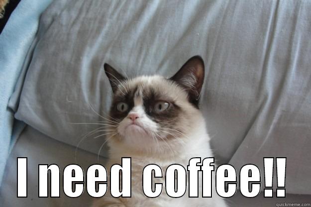  I NEED COFFEE!! Grumpy Cat