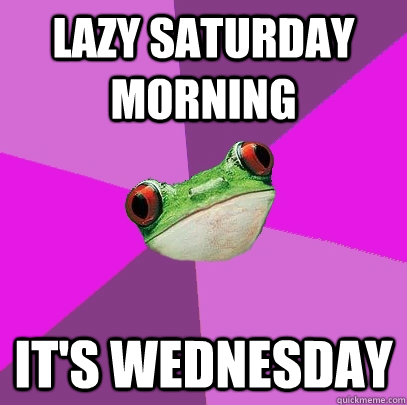 lazy saturday morning it's wednesday - lazy saturday morning it's wednesday  Foul Bachelorette Frog