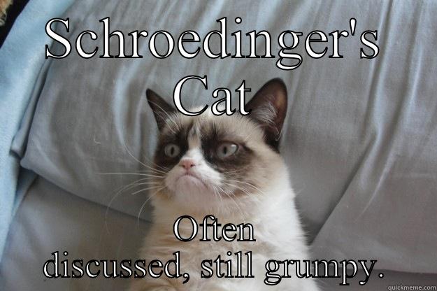 Schroedinger's Cat - SCHROEDINGER'S CAT OFTEN DISCUSSED, STILL GRUMPY. Grumpy Cat