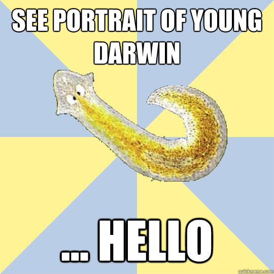 see portrait of young darwin ... hello  Bio Major Planarian