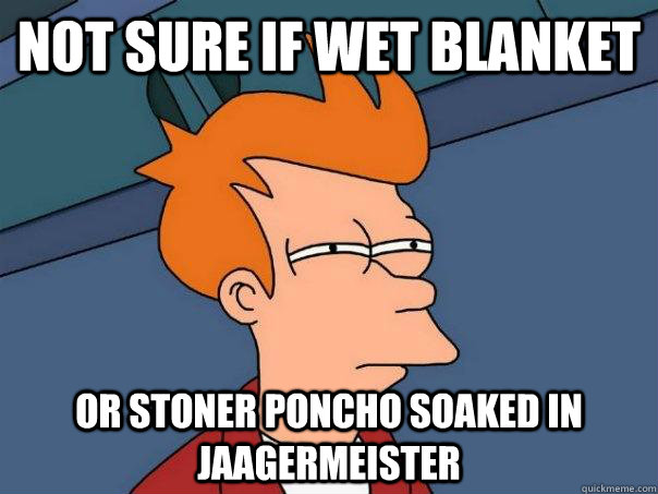 not sure if wet blanket or stoner poncho soaked in jaagermeister - not sure if wet blanket or stoner poncho soaked in jaagermeister  Futurama Fry