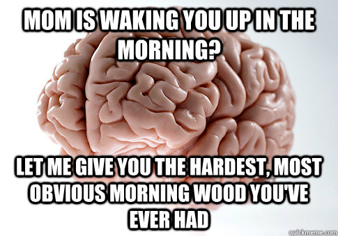 Mom is waking you up in the morning? Let me give you the hardest, most obvious morning wood you've ever had  Scumbag Brain