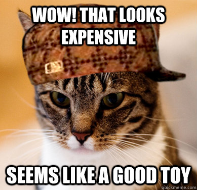 Wow! That looks expensive Seems like a good toy - Wow! That looks expensive Seems like a good toy  Scumbag Cat