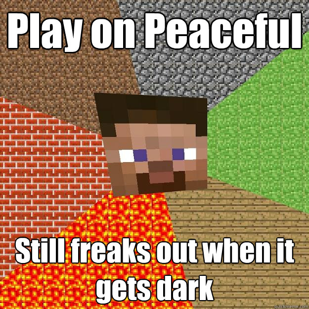 Play on Peaceful Still freaks out when it gets dark  Minecraft