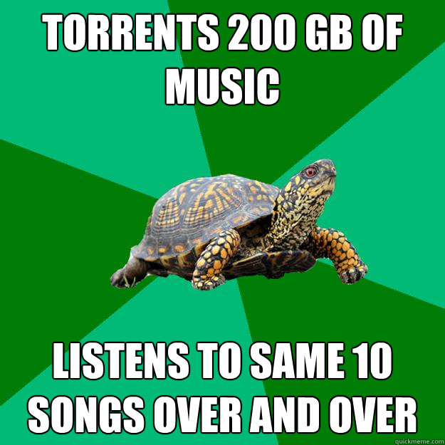Torrents 200 GB of music listens to same 10 songs over and over - Torrents 200 GB of music listens to same 10 songs over and over  Torrenting Turtle