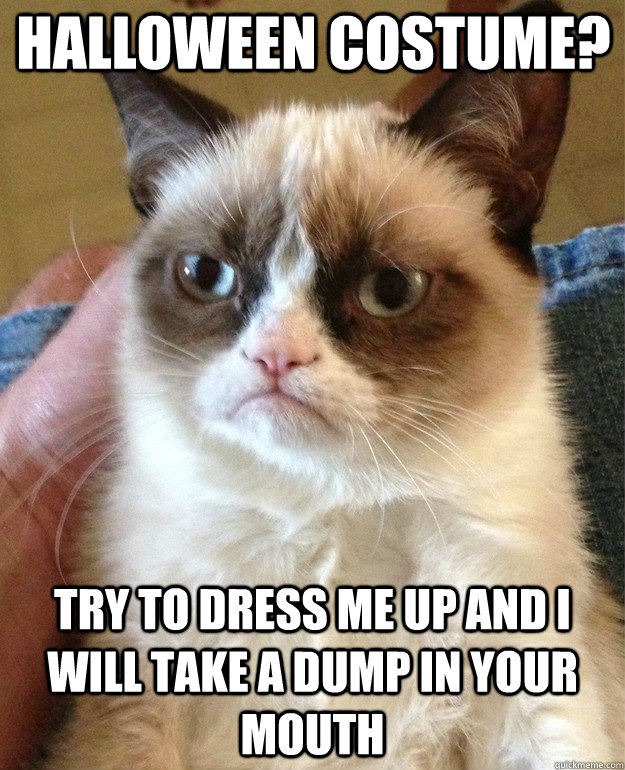 Halloween Costume? try to dress me up and I will take a dump in your mouth  Grumpy Cat