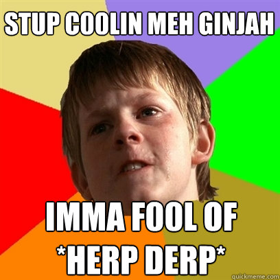 Stup c00lin meh ginjah imma f00l of *herp derp*  Angry School Boy