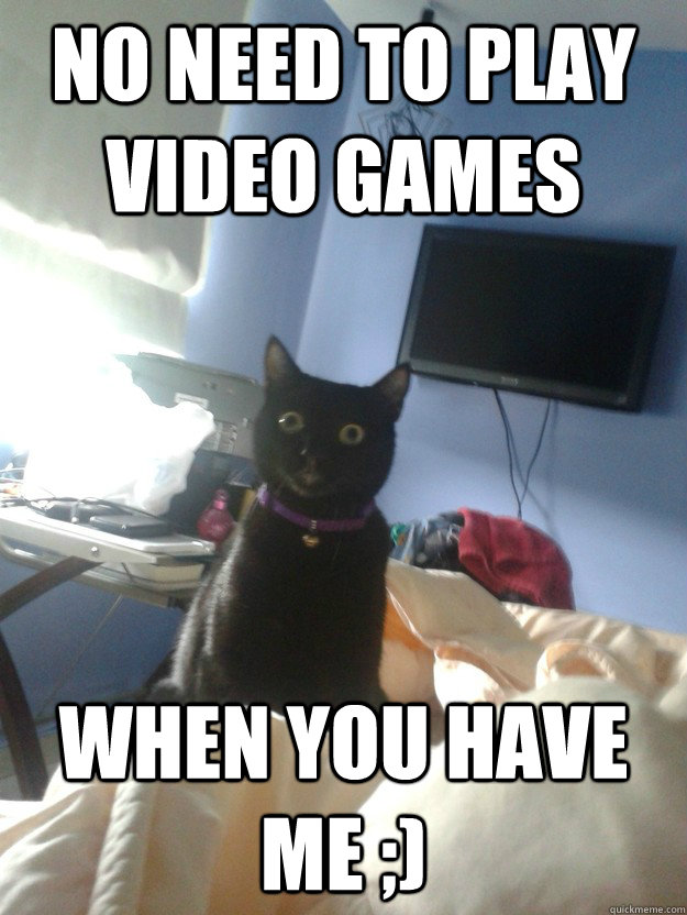 No need to play video games When you have me ;)  overly attached cat