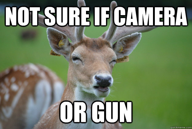 Not Sure if Camera Or Gun - Not Sure if Camera Or Gun  Deer Fry