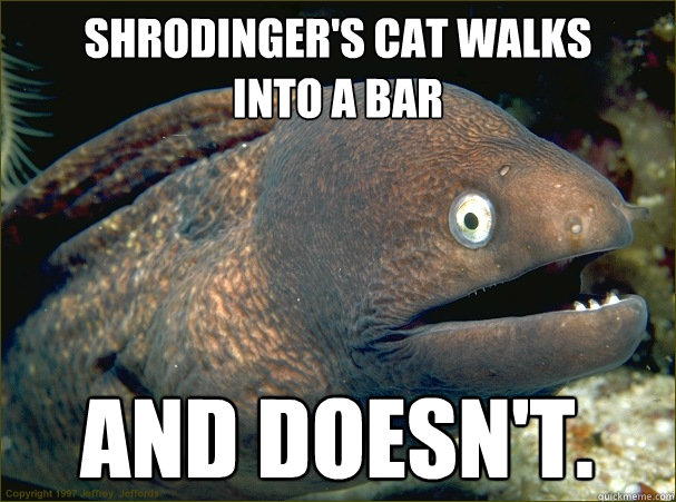 Shrodinger's cat walks
into a bar and doesn't.  Bad Joke Eel