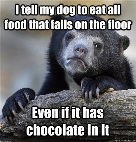 I tell my dog to eat all food that falls on the floor Even if it has chocolate in it  Confession Bear