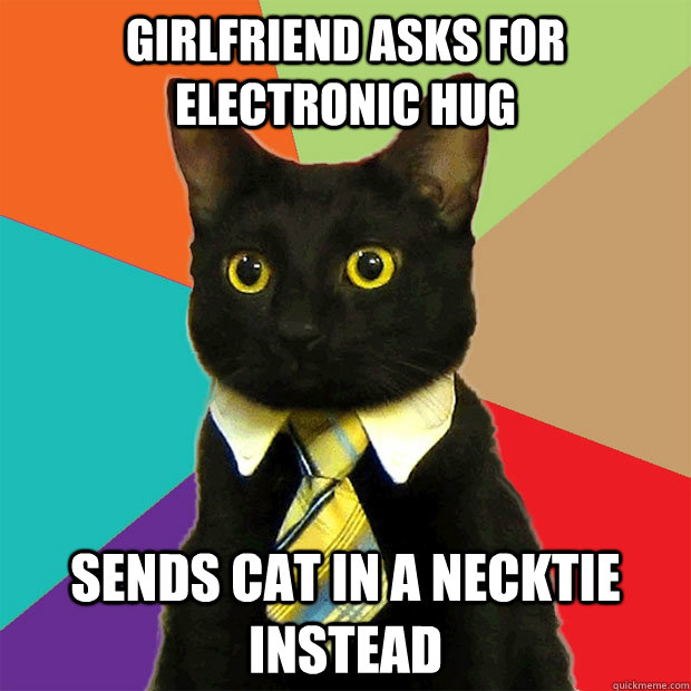 Girlfriend asks for electronic hug Sends cat in a necktie instead  Business Cat