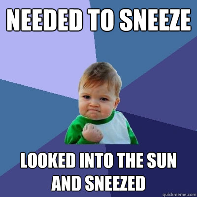 Needed to sneeze looked into the sun and sneezed - Needed to sneeze looked into the sun and sneezed  Success Kid