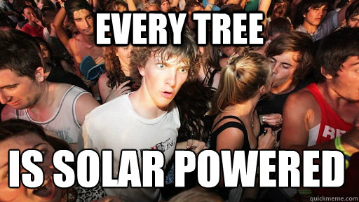 every tree  is solar powered 
  Sudden Clarity Clarence