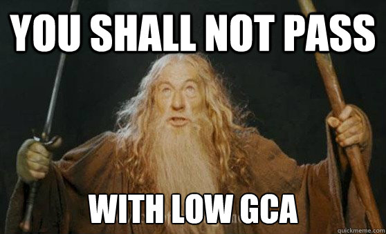 YOU SHALL NOT PASS with low GCA  Gandalf