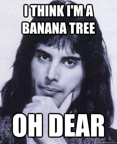 I think I'm a banana tree oh dear  Good Guy Freddie Mercury