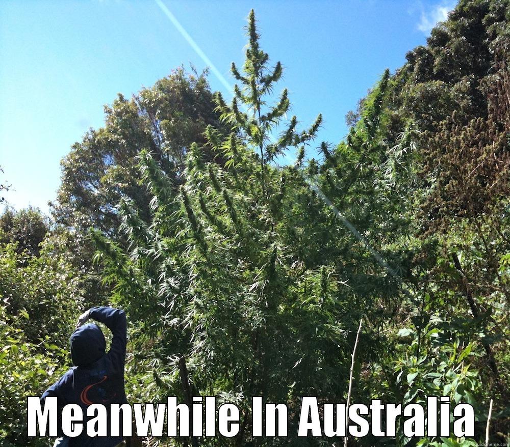  MEANWHILE IN AUSTRALIA Misc