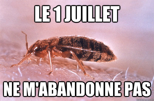 Le 1 Juillet ne m'abandonne pas  In Bed Bug